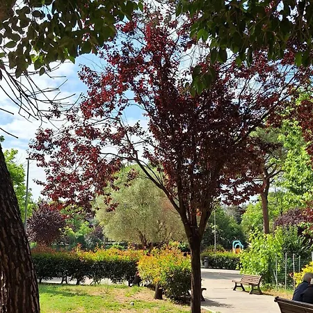 Apartamento La Casa Di Viola - Trastevere